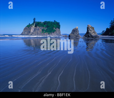 Les piles de la mer et de la réflexion sur la deuxième plage, dans le parc national Olympic Washington Banque D'Images