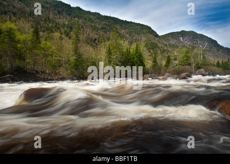 Sont rapide représentée dans la rivière Rivière Jacques-Cartier dans le parc national de la Jacques Cartier parc national Banque D'Images