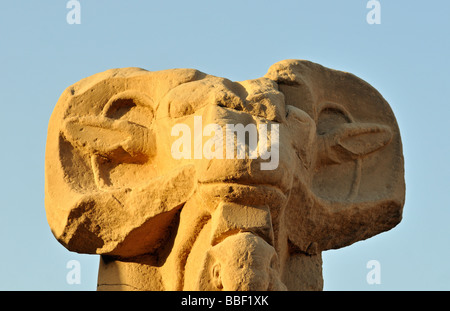 Détail de Ram sur Sphinx tête à l'approche d'Amun Re Cité Temple de Karnak Louxor Égypte près de complexes Banque D'Images