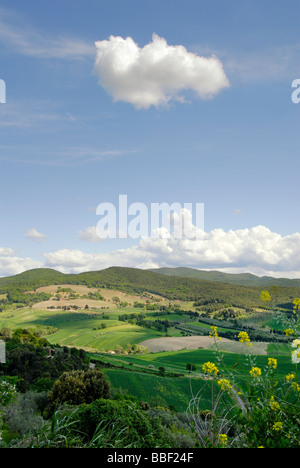 Paysage rural dans la Toscane (Toscana) Région de l'Italie Banque D'Images