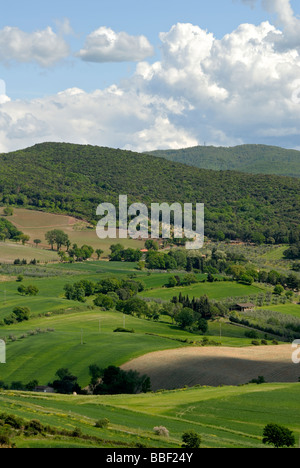 Toscane (Toscana) Italie, vaste paysage vallonné avec des montagnes couvertes d'arbres en arrière-plan contre le ciel avec le cloud Banque D'Images