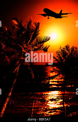 Voyages, coucher du soleil tropical palmiers et avion, Photomontage Banque D'Images