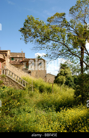 Toscane (Toscana) Italie - bâtiments de buissons entourent alors que vue sur la ville médiévale Casale Marittimo Banque D'Images