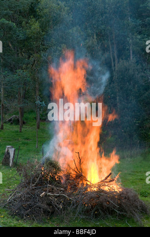 Jardin feu de joie arrière brûle Banque D'Images