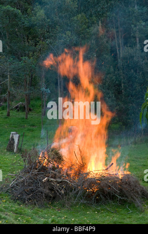 Jardin feu de joie arrière brûle Banque D'Images