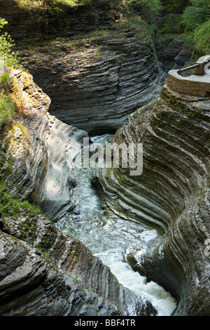 La Gorge à Watkins Glen New York State Park. Randonnée dans la gorge avec 19 superbes cascades. Banque D'Images