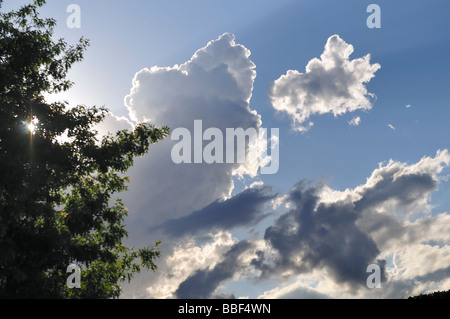 Les cumulus contre un ciel bleu. New York, USA. Banque D'Images