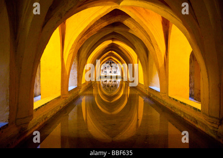 Los Baños de Doña María de Padilla Alcazar de Séville Espagne Banque D'Images