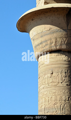 Détail de l'Papyriform ouvert colonne papyrus et du capital à salle hypostyle du Temple de Sobek et Haroeris à Kom Ombo Égypte Banque D'Images