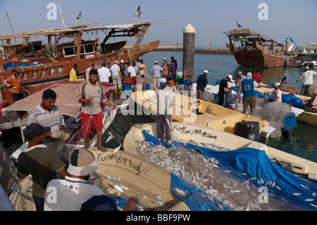 Les pêcheurs pour leur capture d'un des filets d'un séjour sur les bateaux dans le port de Koweït. Banque D'Images