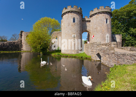 La famille Cygne tuberculé Cygnus olor en fossé à Whittington Castle près de Shropshire Oswestry England UK Royaume-Uni GB Grande Bretagne Banque D'Images