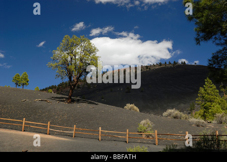 Le Volcan Sunset Crater dans l'Arizona du Nord Banque D'Images