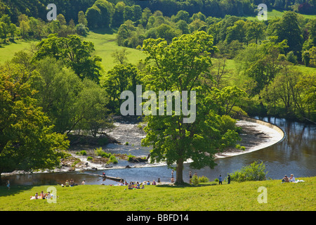Horseshoe Falls Weir à Llantysilio construit par Thomas Telford en 1808 rivière Dee près de Llangollen Powys Pays de Galles Cymru UK Banque D'Images