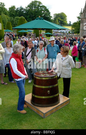 Un expert examine une question à un événement Antiques Roadshow à Cornwall, uk Banque D'Images