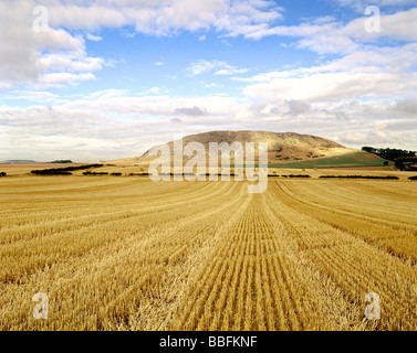 Âge du Fer droit Traprain Nr Haddington East Lothian Ecosse HOMER SYKES Banque D'Images