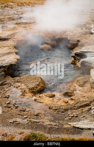 Hot Spring Yellowstone National Park, Wyoming, USA Banque D'Images