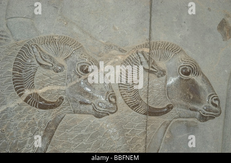 Rams Head détail d'un bas-relief sculpté représentant l'un des envoyés spéciaux de l'ONU au sujet de la Perse les ruines de Persepolis, Iran Banque D'Images