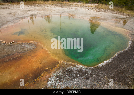 Emerald Hot Spring à Yellowstone National Park, Wyoming, USA Banque D'Images