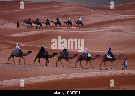 Afrique, Afrique du Nord, Maroc, Sahara, Merzouga, Erg Chebbi, touristes Chameaux sous la pluie Banque D'Images