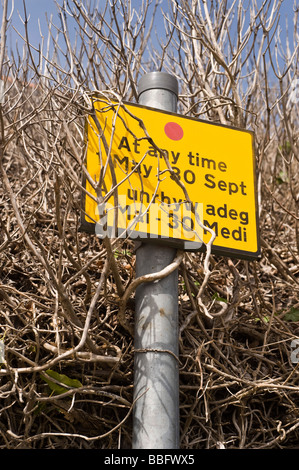 Bilingue Anglais Welsh Parking Sign empêtré dans le feuillage Banque D'Images