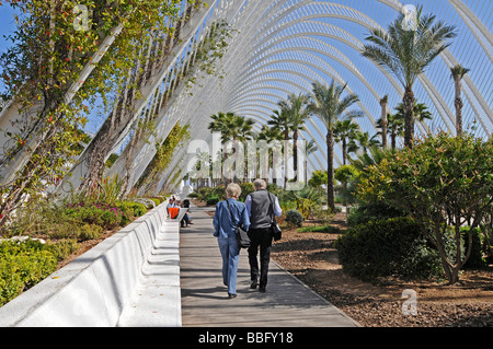 Promenade, Palm Gardens, l'umbracle, Ciudad de las Artes y de las Ciencias, Cité des Arts et des Sciences, architecte Santiago Calat Banque D'Images