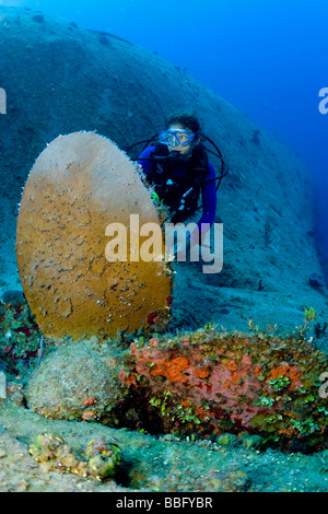 Plongée sous-marine sur épave. Banque D'Images