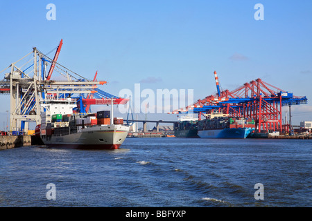 Conteneurs, convoyeur, navire d'alimentation, Burchhardkai quay terminal à conteneurs, des ponts pour conteneurs, conteneurs, dans l'arrière Eurogate Banque D'Images