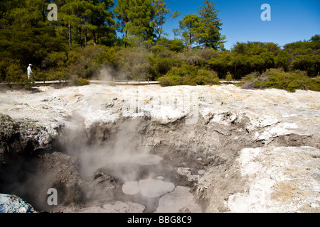 Des bassins de boue à Rotorua Waiotapu Ile du Nord Nouvelle Zélande Banque D'Images