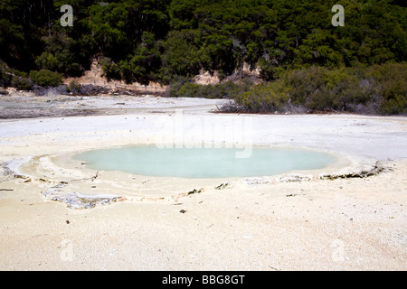 L'Huître Waiotapu Piscine Île du Nord Nouvelle-zélande Banque D'Images