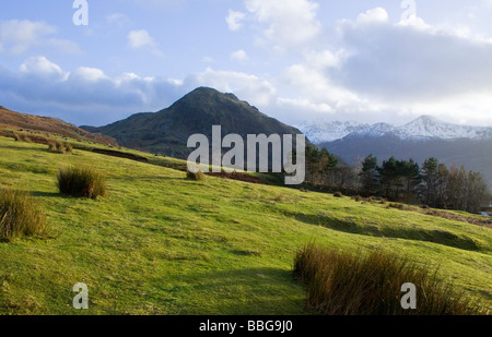 La vue d'hiver vu Cinderdale Rannerdale Noeuds de commun le Parc National du Lake District Cumbria Banque D'Images