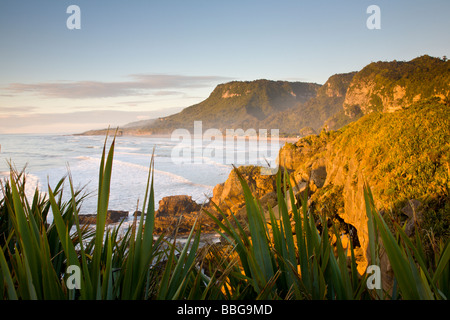 Punakaiki Beach Côte ouest de l'île du Sud Nouvelle-Zélande Banque D'Images