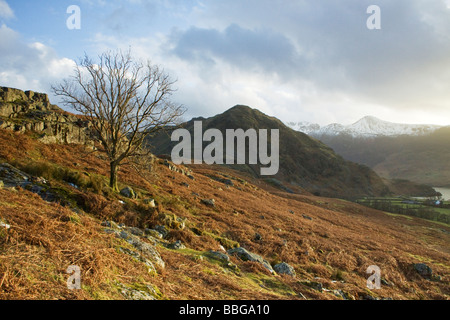 La vue d'hiver vu Cinderdale Rannerdale Noeuds de commun le Parc National du Lake District Cumbria Banque D'Images