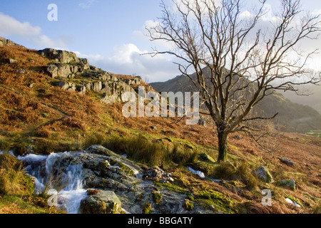 La vue d'hiver vu Cinderdale Rannerdale Noeuds de commun le Parc National du Lake District Cumbria Banque D'Images