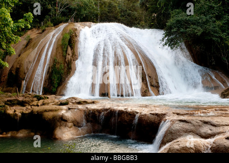 Cascades de Agua Azul à Palenque, Chiapas, Mexique, Amérique Centrale Banque D'Images