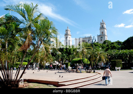 La cathédrale de San Idelfonso, sur la Plaza Mayor à Merida, Yucatan, Mexique, Amérique Centrale Banque D'Images