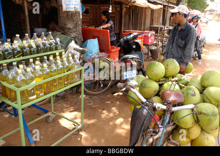 Homme transportant des jeunes cambodgiens de coco sur son vélo à Siem Reap, Cambodge Banque D'Images