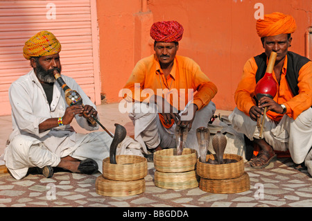 Les charmeurs de serpent indien avec les cobras (Naja naja), le palais des vents, Jaipur, Rajasthan, Inde du nord, l'Asie Banque D'Images