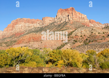 La Sentinelle, Springdale, humeur d'automne à l'entrée sud de Zion National Park, Utah, USA Banque D'Images