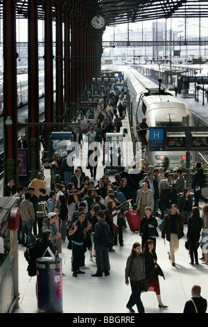 TGV, Gare de Lyon, Paris Banque D'Images