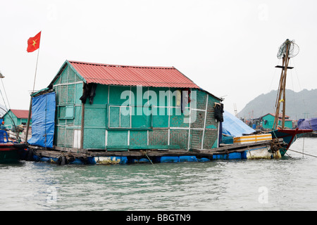 Maison de village de pêcheurs flottant, 'Cat Ba' Island, [la baie d'Halong, Vietnam], [Asie du Sud-Est] Banque D'Images