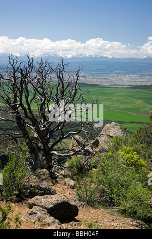 Vue sud de la point vers la Warner donnent sur la Gorge de Gunnison National Conservation Area et montagnes de San Juan Banque D'Images