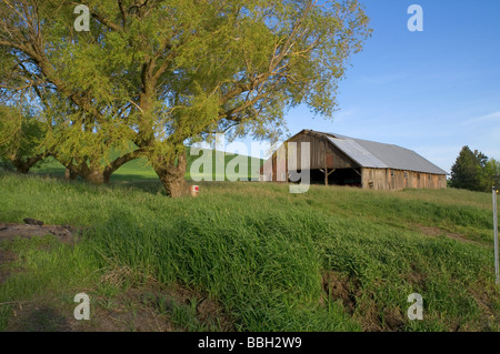 Ferme et de la prairie dans la région de Palouse le long de la frontière de Washington et de l'Idaho Banque D'Images