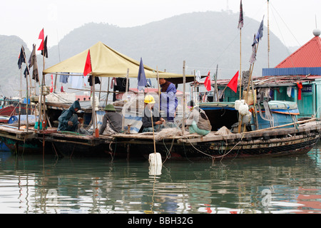 Les pêcheurs vietnamiens, [et] des bateaux de pêche, filets 'Cat Ba' Island, [la baie d'Halong, Vietnam] Banque D'Images