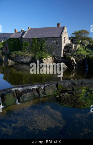 Annalong restauré moulin avec roue à eau County Down Irlande du Nord uk Banque D'Images