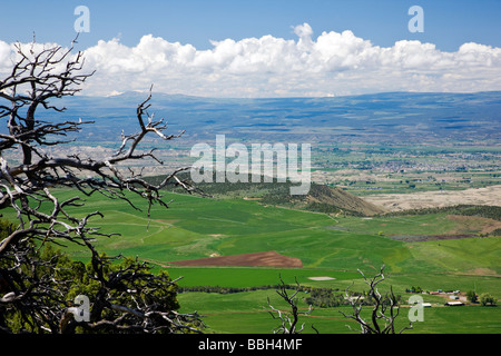 Vue ouest de la Warner Point donnent sur vers la Gorge de Gunnison National Conservation Area Black Canyon Banque D'Images