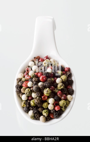 Mélange de poivre en grains Banque D'Images