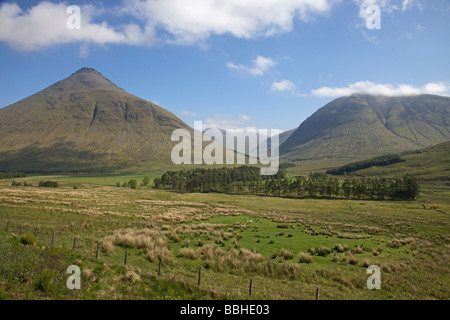 Le printemps à Glen Auch près de Tyndrum, Ecosse Banque D'Images