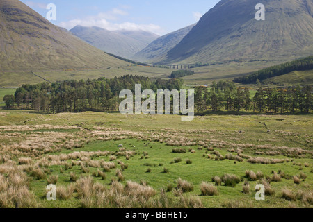 Le printemps à Glen Auch près de Tyndrum, Ecosse Banque D'Images