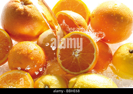 Les agrumes sous jet d'eau, oranges, citrons, pamplemousses Banque D'Images