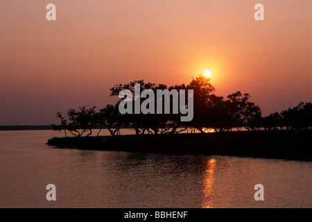 Inde, Bengale occidental, Sunderbans, Delta du Gange, mangroves au coucher du soleil Banque D'Images